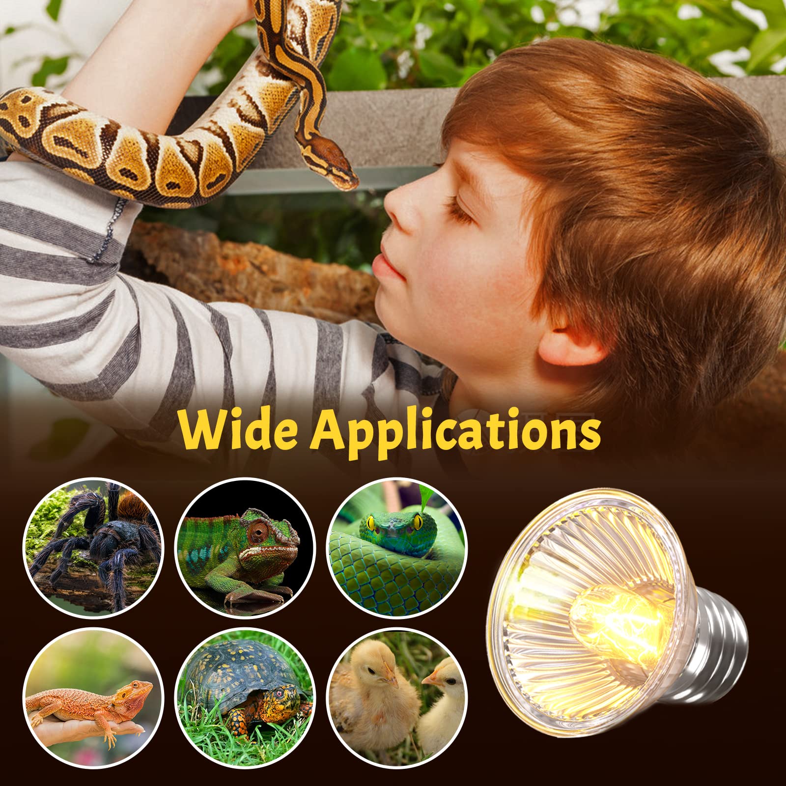 50W Reptile Heat Lamp Bulb - UVA UVB Full Spectrum Sun Light, E26 Dimmable Basking Bulb for Turtles, Lizards, Amphibians & Terrariums (8-Pack) - Perfect for Reptile Habitats, Nighttime Heating & UV Supplementation