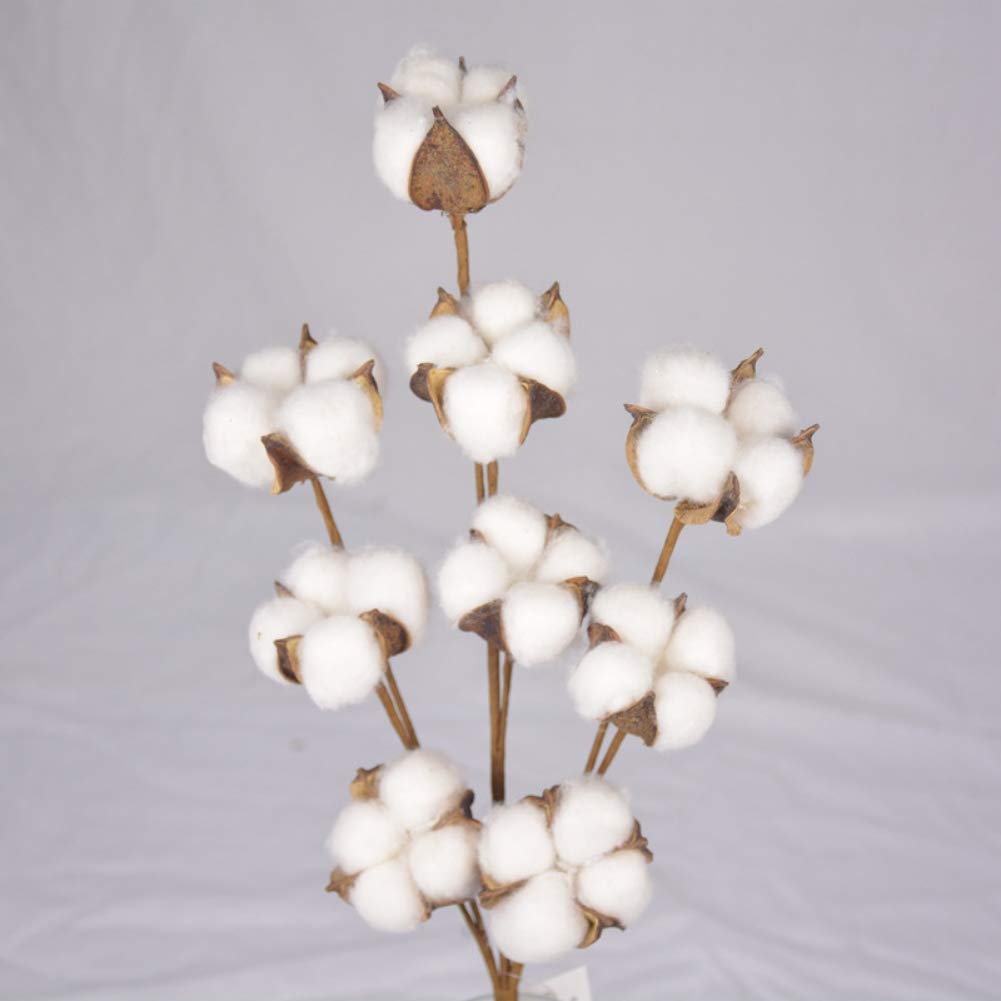 Natural White Cotton Boll Stems - Rustic Farmhouse Vase Filler, Wedding Centerpiece Decor, Floral Arrangement Supplies for Home, Wedding & Event Decorations