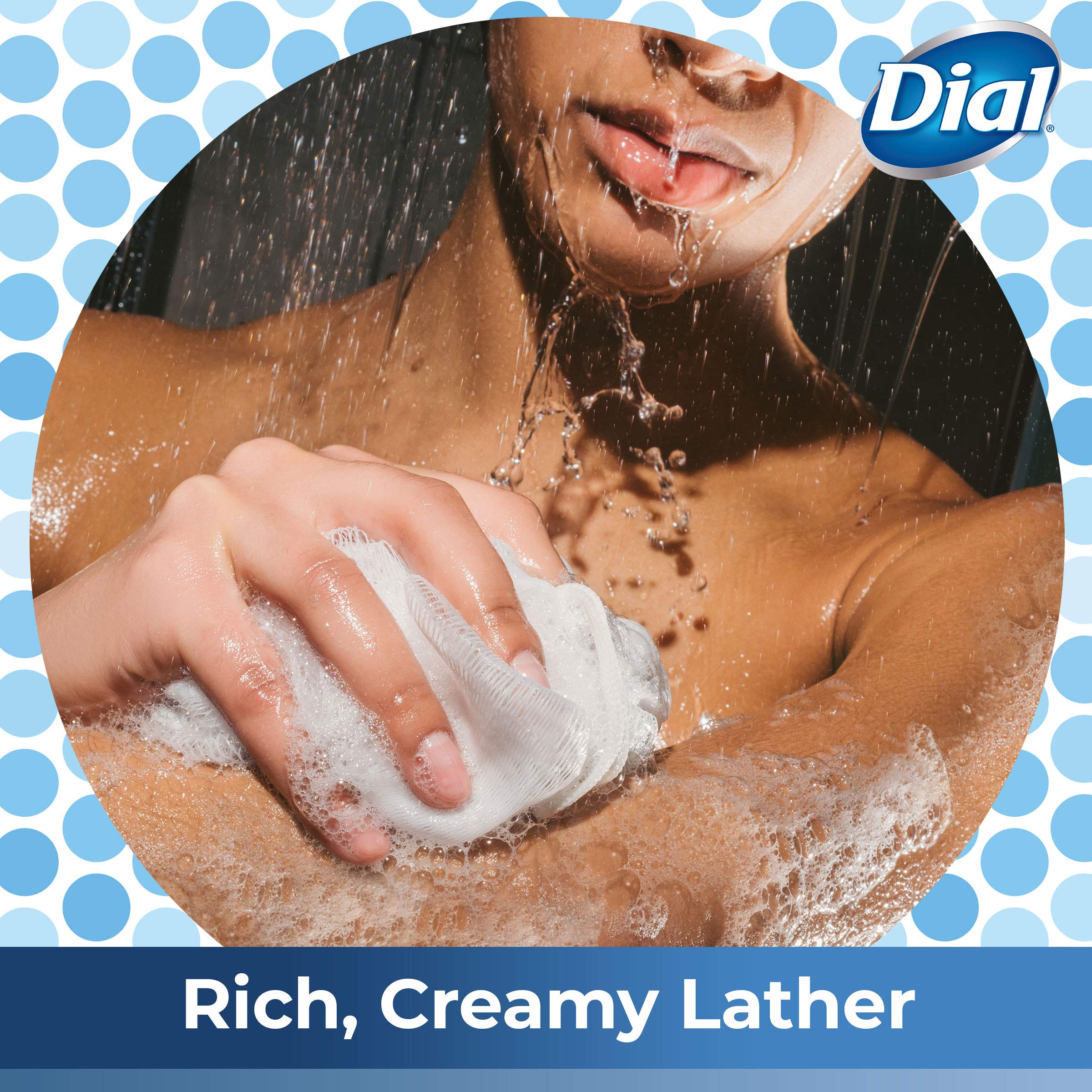 Dial Body Wash, Silk & Magnolia Scent, 23 fl oz (Pack of 3) - Moisturizing Shower Gel for Dry Skin, Perfect for Daily Use & Relaxing Bath Time