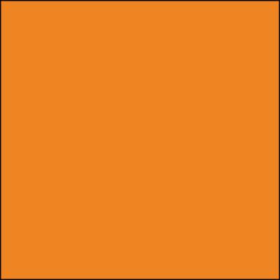 Premium Orange Powdered Color - Natural Food Coloring for Baking, Smoothies & DIY Crafts | Vegan, Non-GMO, Gluten-Free