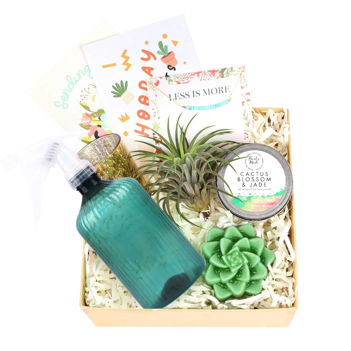 Premium Succulent & Air Plant Gift Box for Women - Personalized Plant Lover Gift Set - Unique Holiday & Birthday Present - Home Office Desk Decor & Housewarming Gift Idea