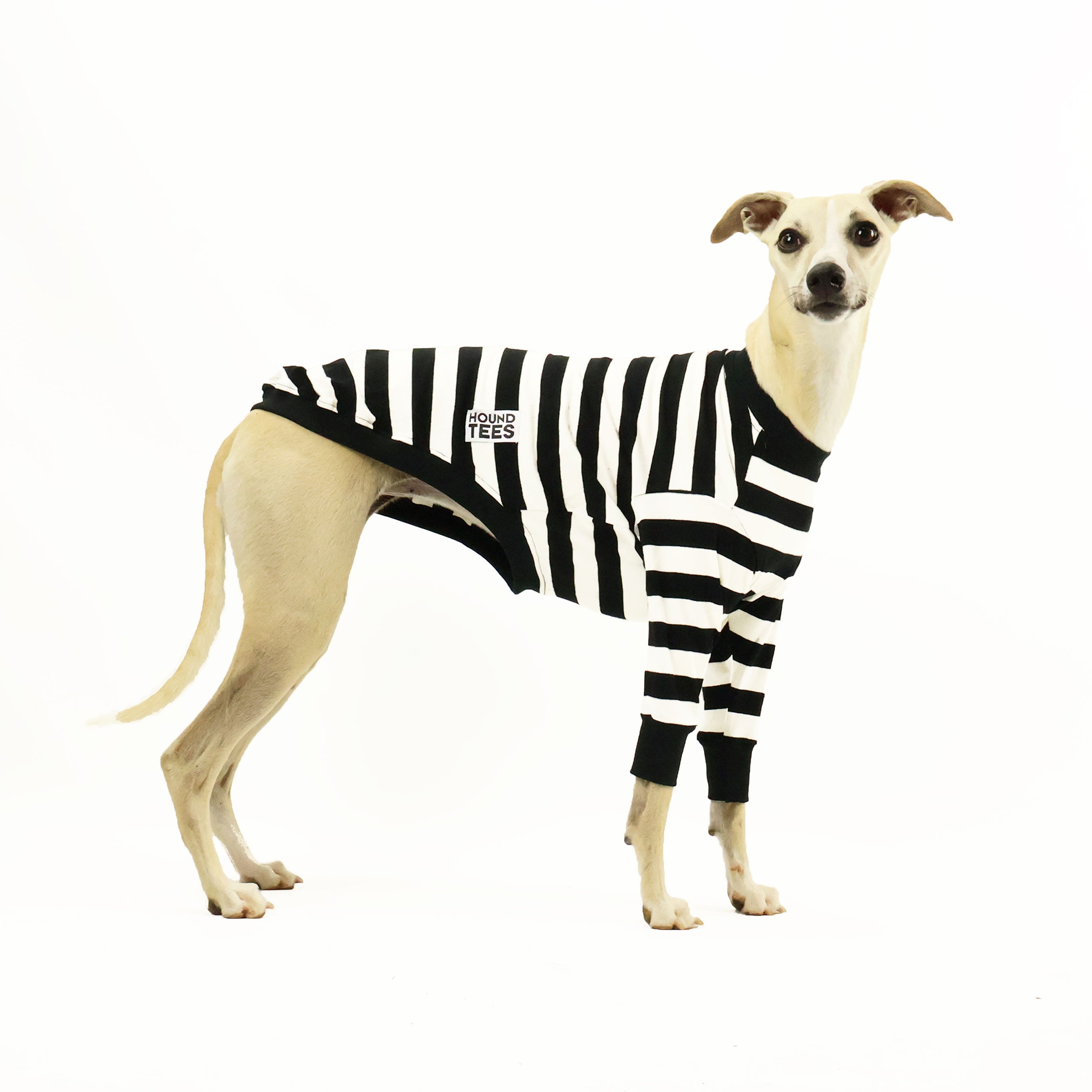 Jailbreak Whippet Long Sleeve Hound T-Shirt for Men & Women - Comfortable Dog Lover Apparel for Casual Wear & Outdoor Activities
