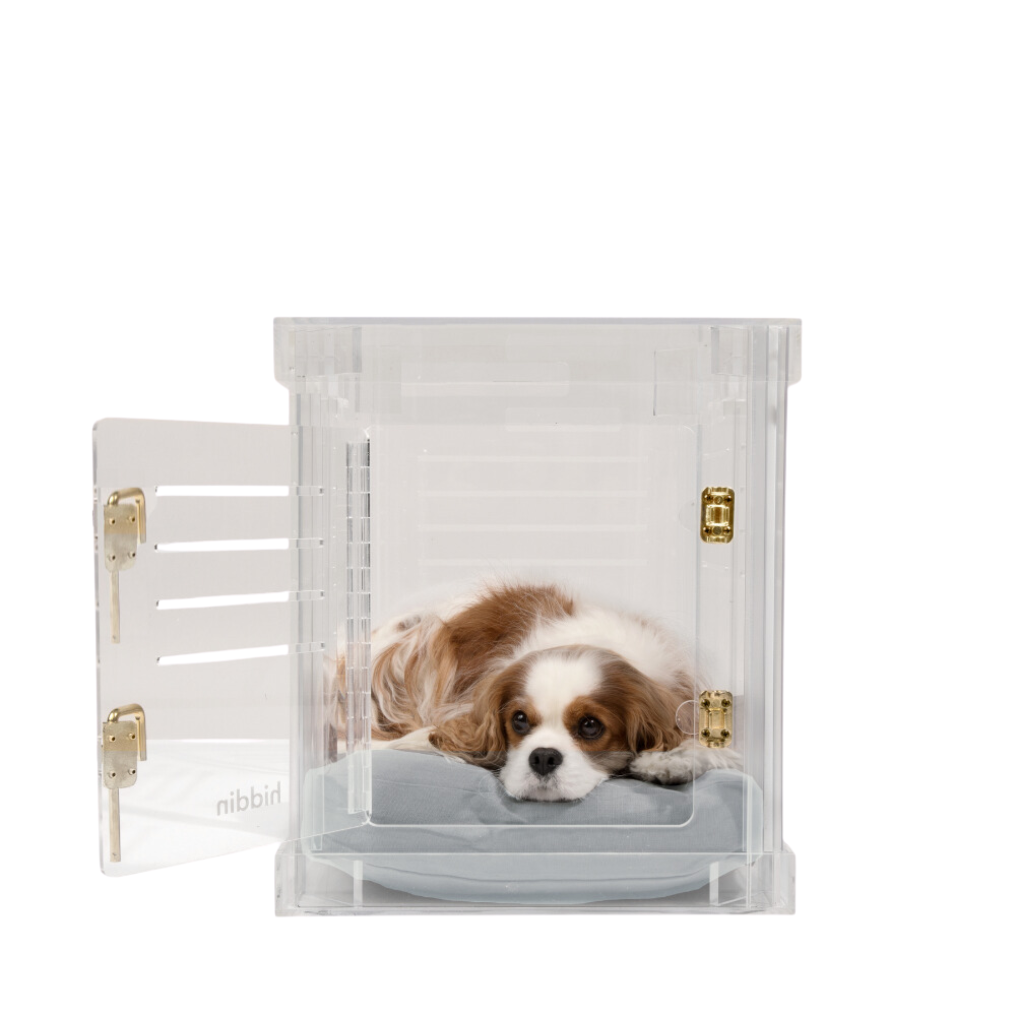 Clear Plastic Dog Crate with Removable Gate - Portable Pet Carrier for Small to Medium Dogs - Perfect for Travel, Training & Home Use