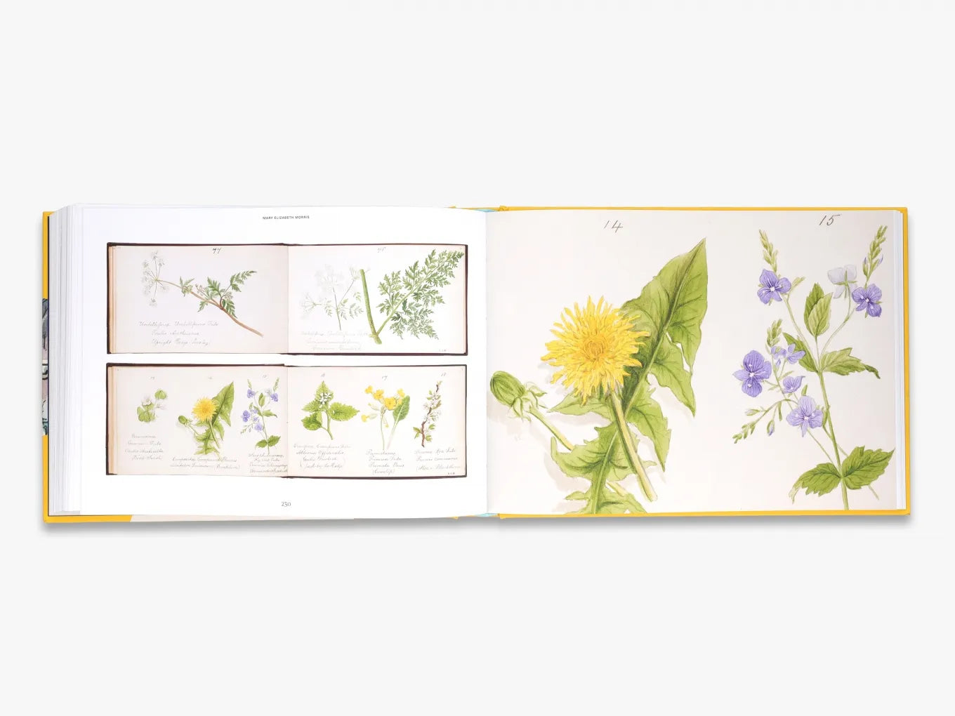 The Artist's Sketchbook - Premium Blank Drawing Notebook | Victoria and Albert Museum Collection | Perfect for Sketching, Doodling & Art Journaling | Ideal Gift for Artists & Creative Professionals