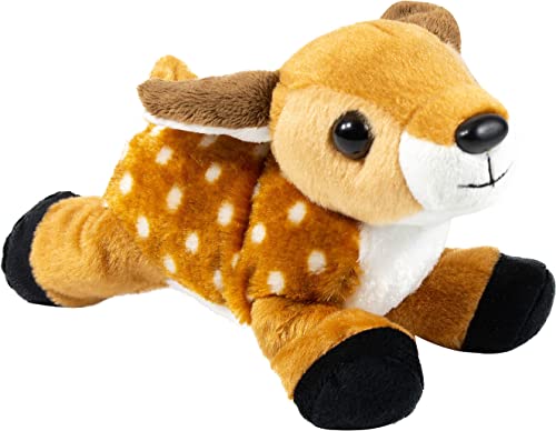Fawn