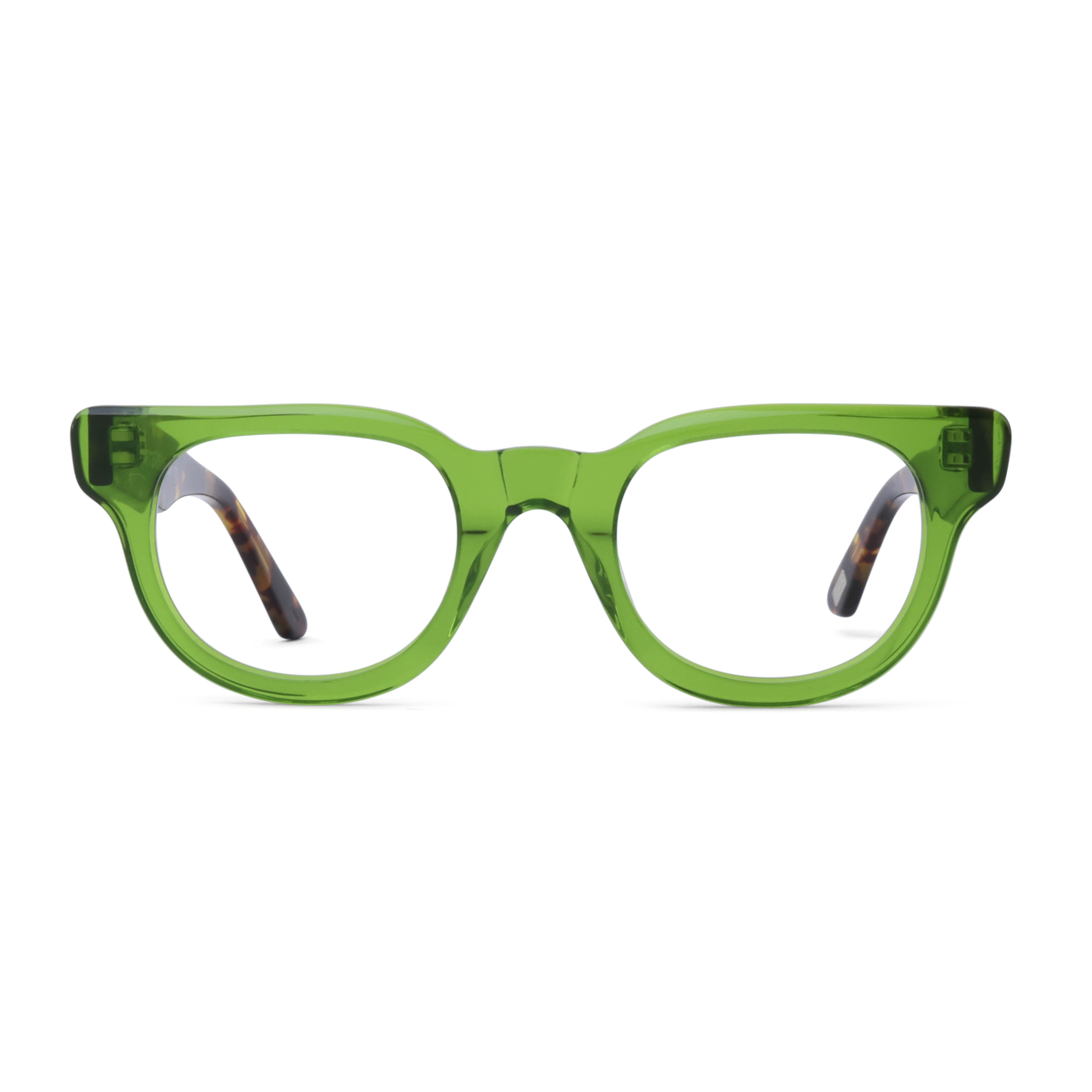 Algae / Havana