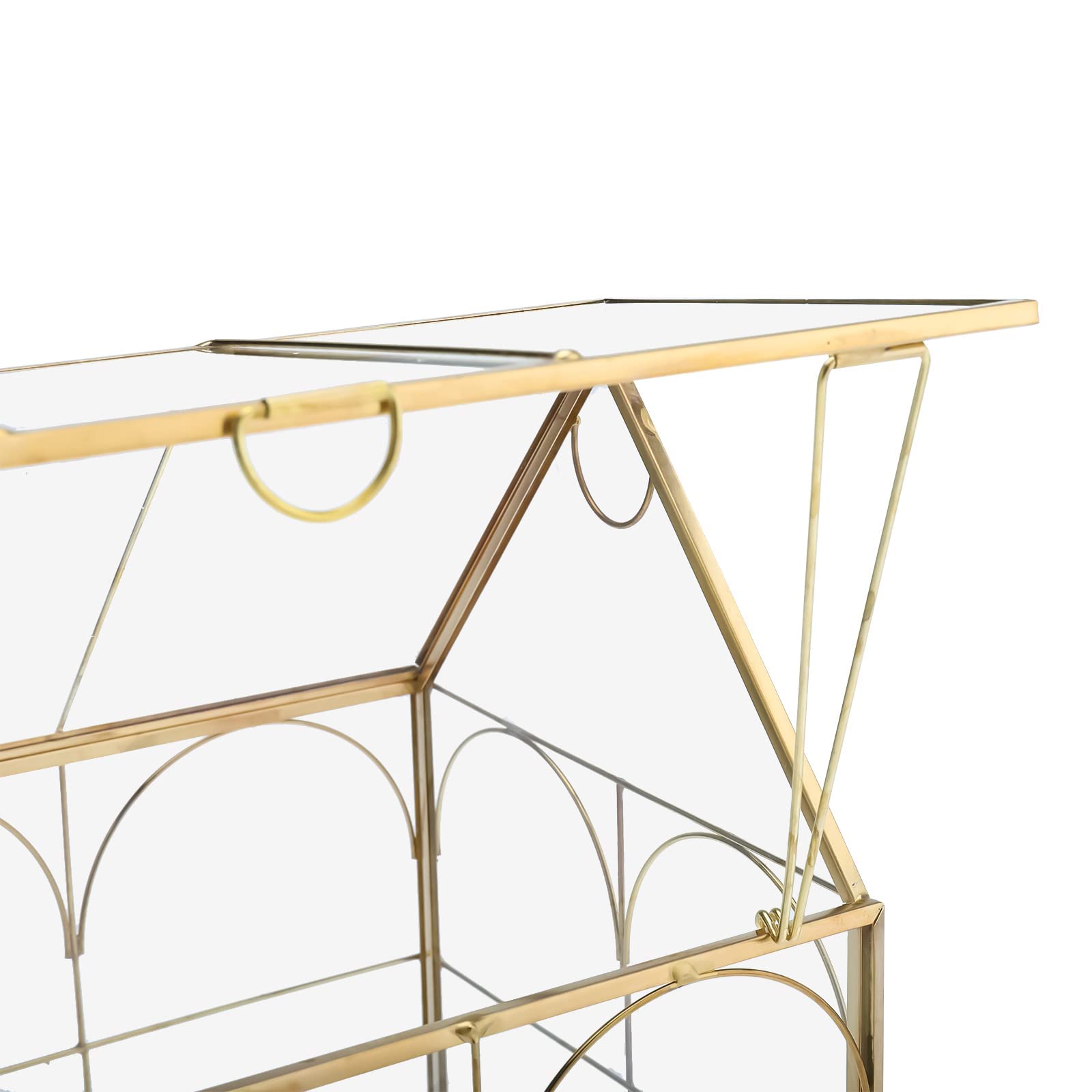 HighFree Geometric Glass Terrarium with Lid - 10.6 x 6.1 x 8.7 Inch Gold Succulent Planter for Cacti, Air Plants & Snails - Modern Tabletop Mini Garden for Home, Office Decor & Gift Ideas