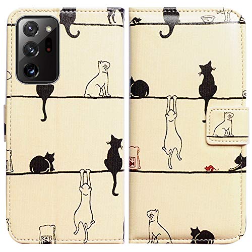 Black Cat White Cat