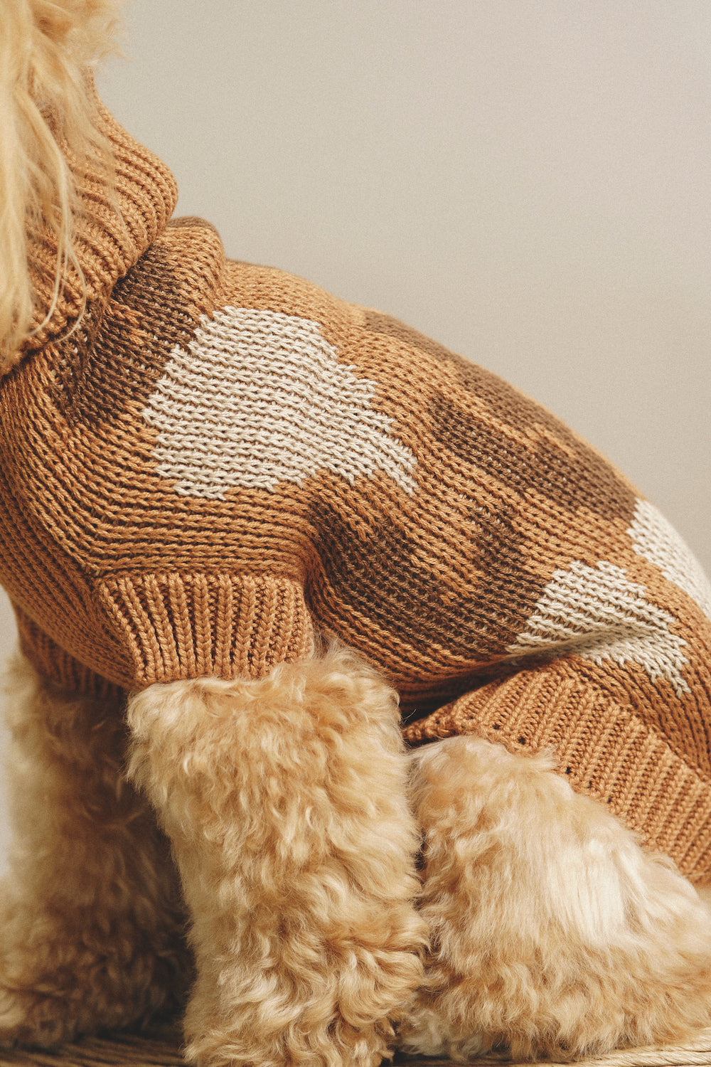 Dog Cardigan Sweater - Soft Pony Cotton Knit for Small Dogs - Cozy Winter Wear for Indoor & Outdoor Use