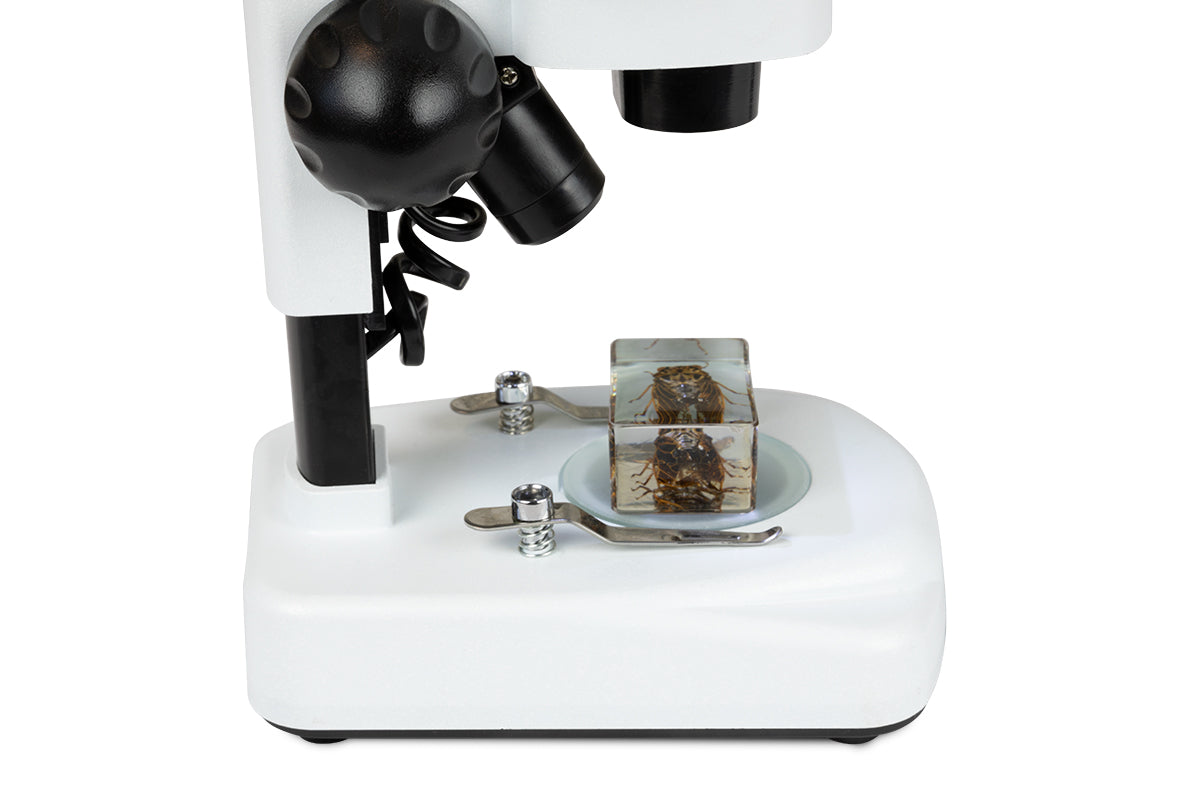 Celestron Labs S20 Angled Stereo Microscope - 20x Magnification, Dual LED Illumination for Jewelry, Coins, and Electronics Inspection | Perfect for Hobbyists, Collectors, and Professionals