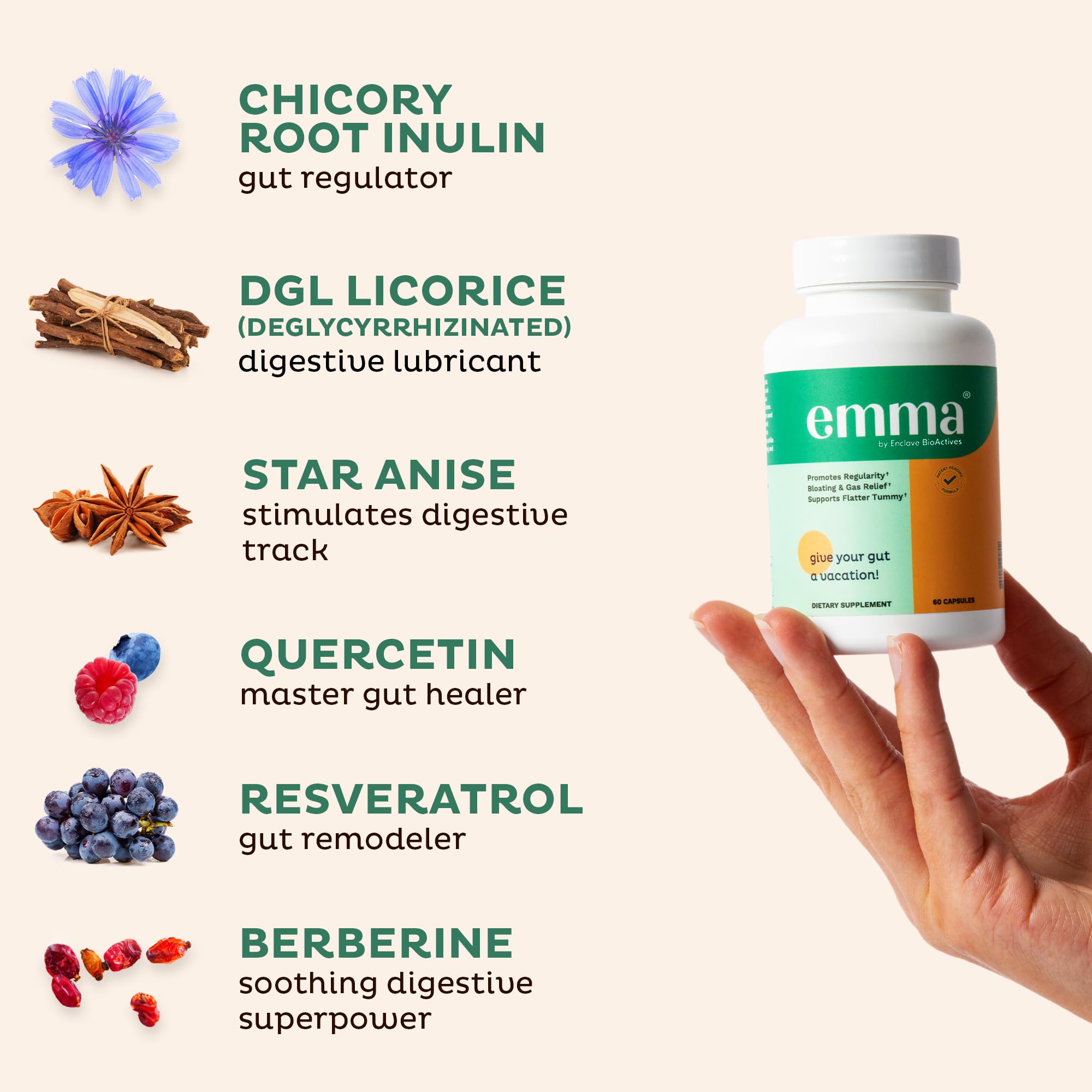 Emma Gut Health Probiotics - 2 Pack (120 Capsules) - Gas & Bloating Relief, Constipation Support, Leaky Gut Repair - Digestive Cleanse & Gut Flora Restoration - Natural Laxative Alternative - Promotes Regular Bowel Movements - Ideal for Digestive Discomfort, IBS Relief & Daily Gut Maintenance