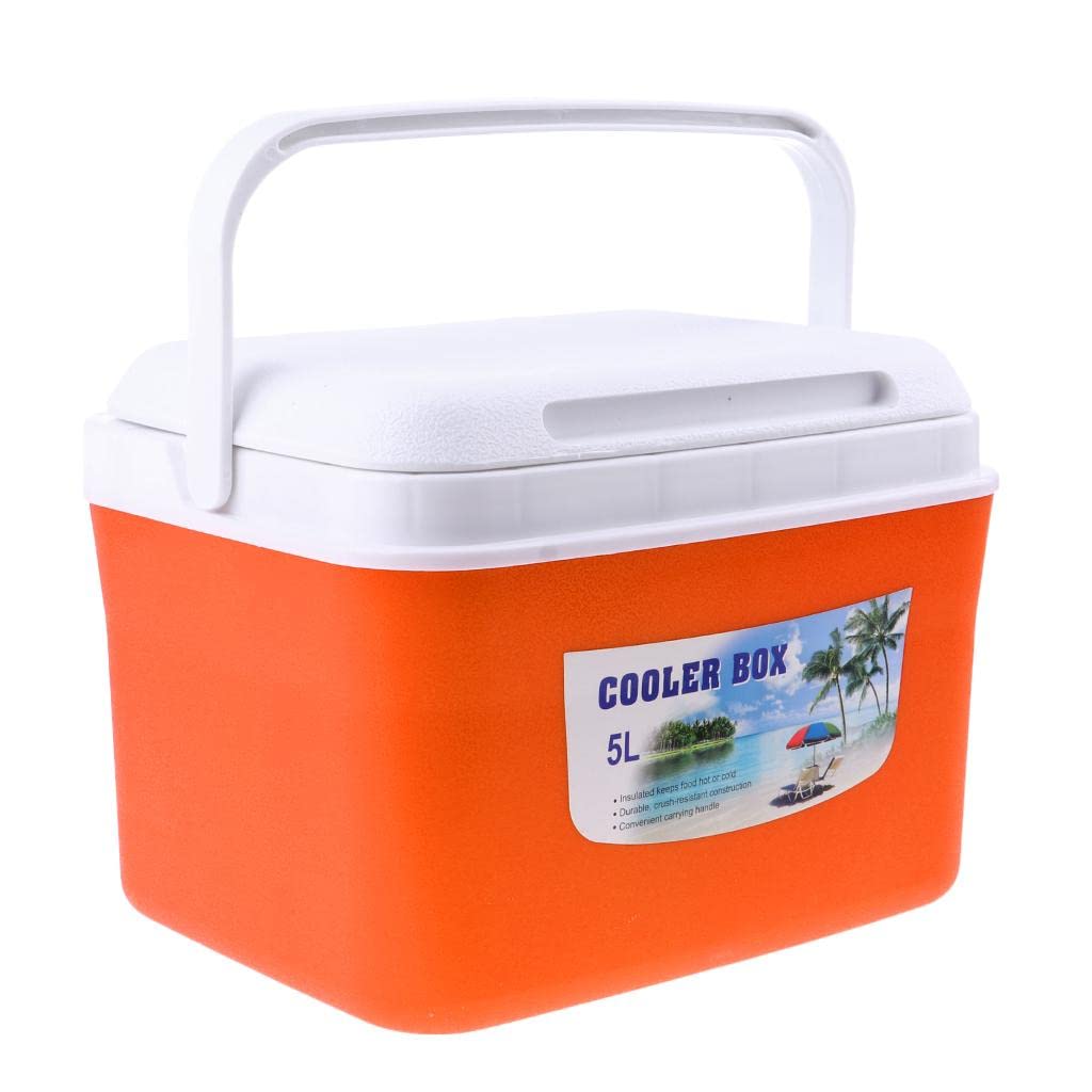TOOYFUL 5L & 13L Insulated Cooler Box for Camping, Hiking, Picnics - Portable Food & Drinks Ice Chest with Comfort Handle | Perfect for Outdoor Adventures, Beach Trips & Tailgating Parties