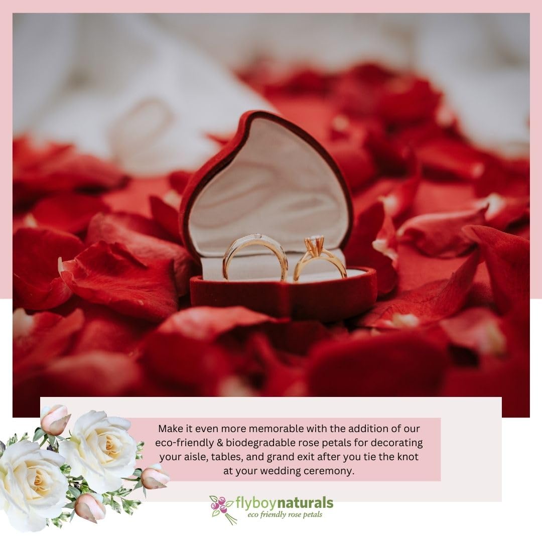 3600 Valentine's Red Rose Petals - 60 Cups Natural Fresh Bridal Rose Petals for Wedding Decor, Romantic Proposals & Anniversary Celebrations - Small to Medium Size Petals for Aisle, Table Scatter & Bath Decor
