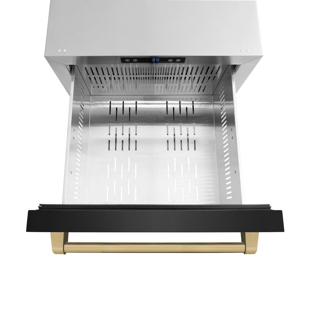 ZLINE Autograph Edition 24 Inch Touchstone 168 Can Outdoor Rated Dual Refrigerator Drawer - Black Stainless Steel Doors with Champagne Bronze Handles (RDSOZ BS 24 CB) | Perfect for Outdoor Kitchens, Patio Bars & Entertaining Areas