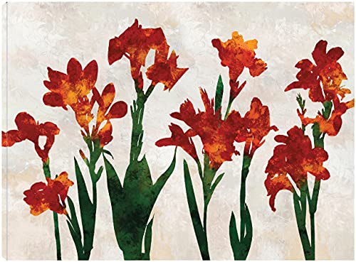 Arnit Bloom