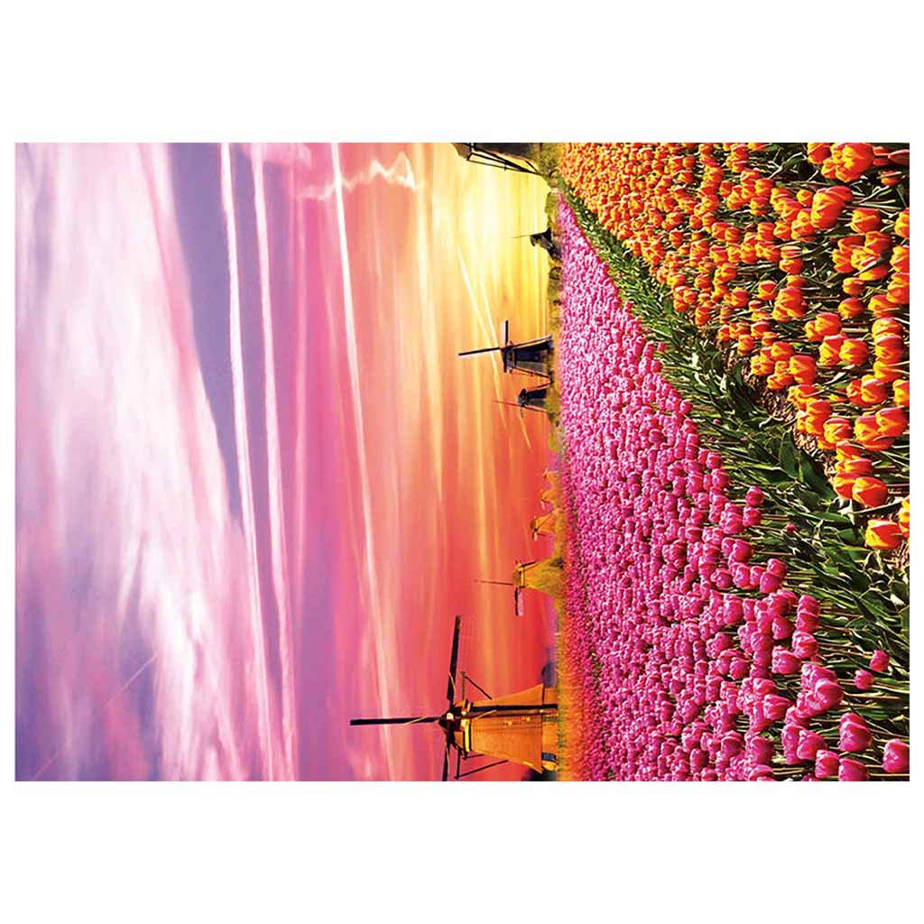 1000 Piece Dutch Windmills Jigsaw Puzzle for Adults & Teens - Premium Educational Puzzle Game, Large 70x50cm Wall Art for Home Decor, Perfect Gift for Holidays & Family Game Nights