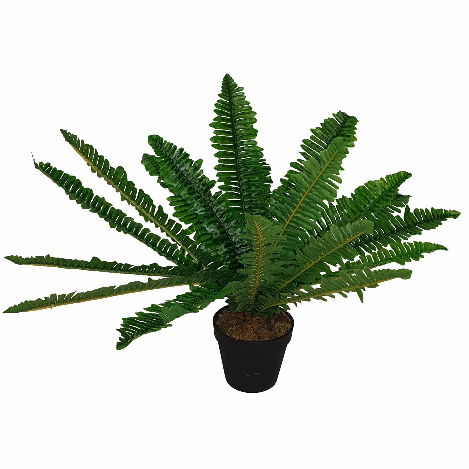 50cm Green Leaf Fern Artificial Plant by Criterion - Perfect for Home Decor, Office Spaces & Wedding Centerpieces