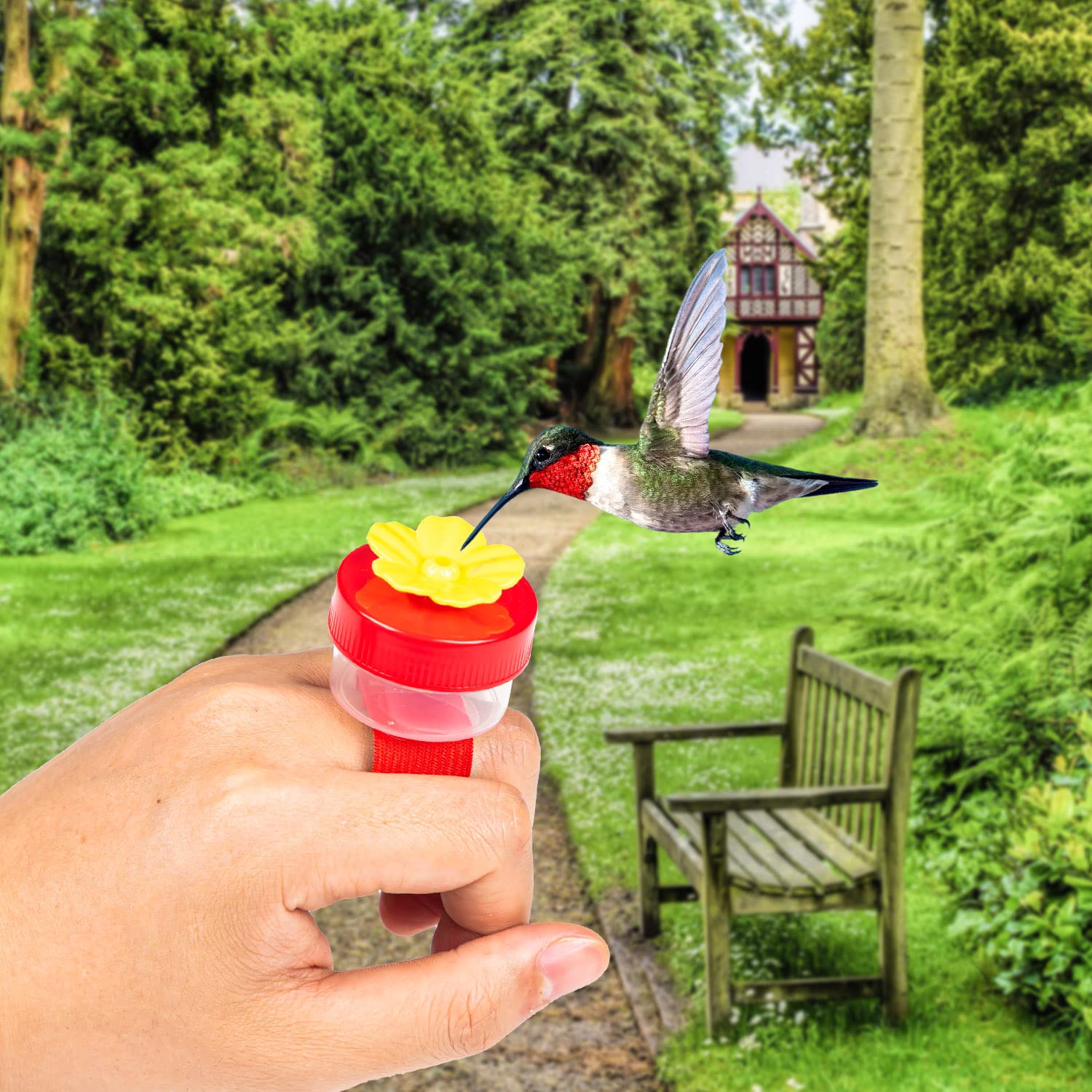 Handheld Hummingbird Feeder Kit - 4Pcs with Cleaning Brushes for Outdoor Bird Watching