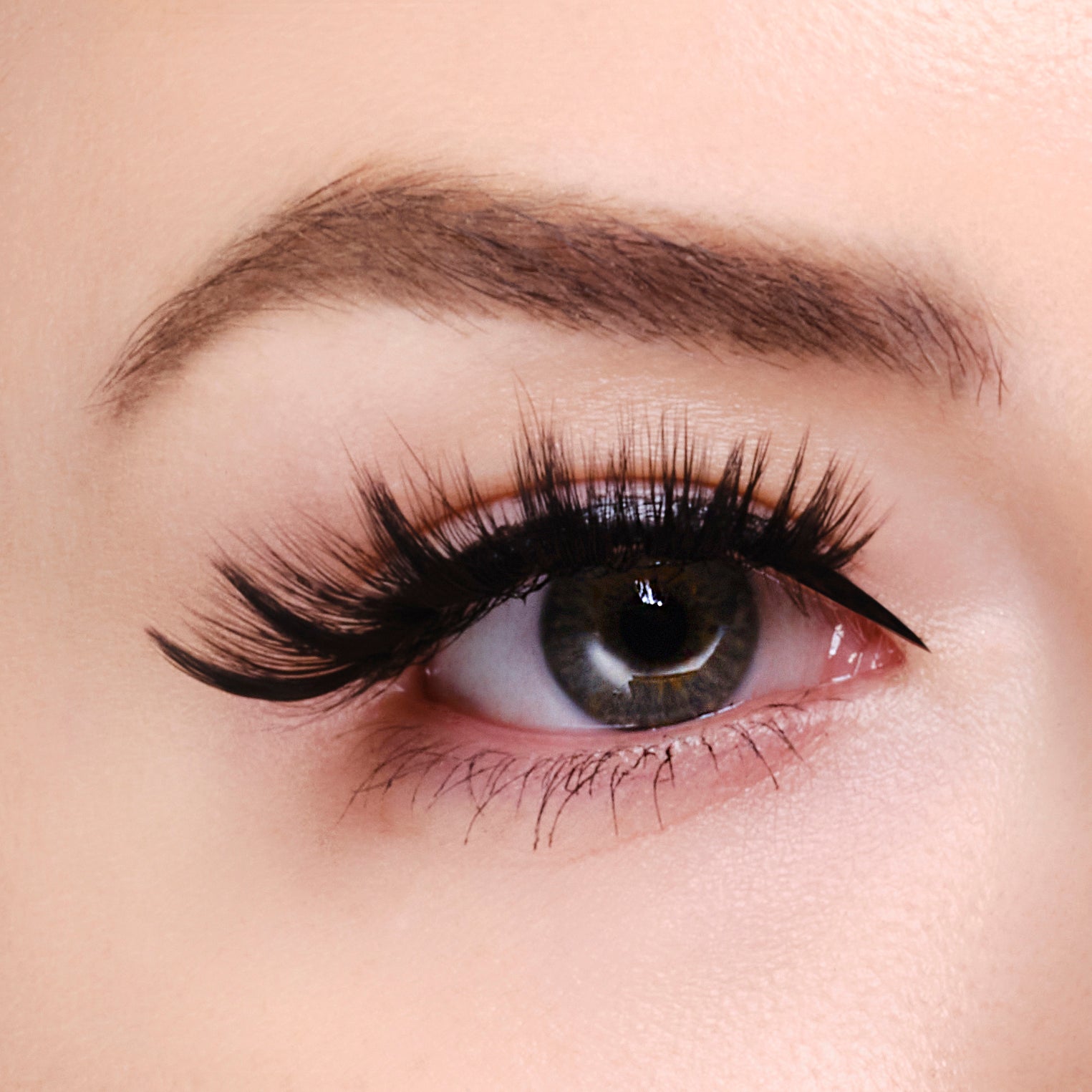 Premium Synthetic Eyelashes - Natural Looking False Lashes for Dramatic Volume & Length | Perfect for Daily Wear, Special Occasions & Makeup Looks (Fiji Style)