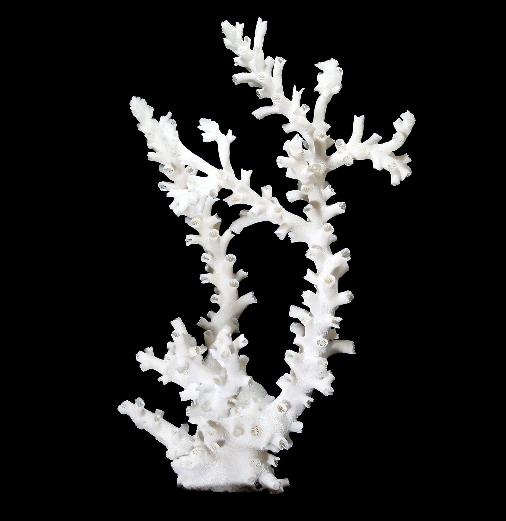 Octopus Coral Reef Decor - Realistic Artificial Coral for Saltwater Aquariums & Fish Tanks - Perfect for Marine Habitat, Underwater Theming, and Oceanic Displays