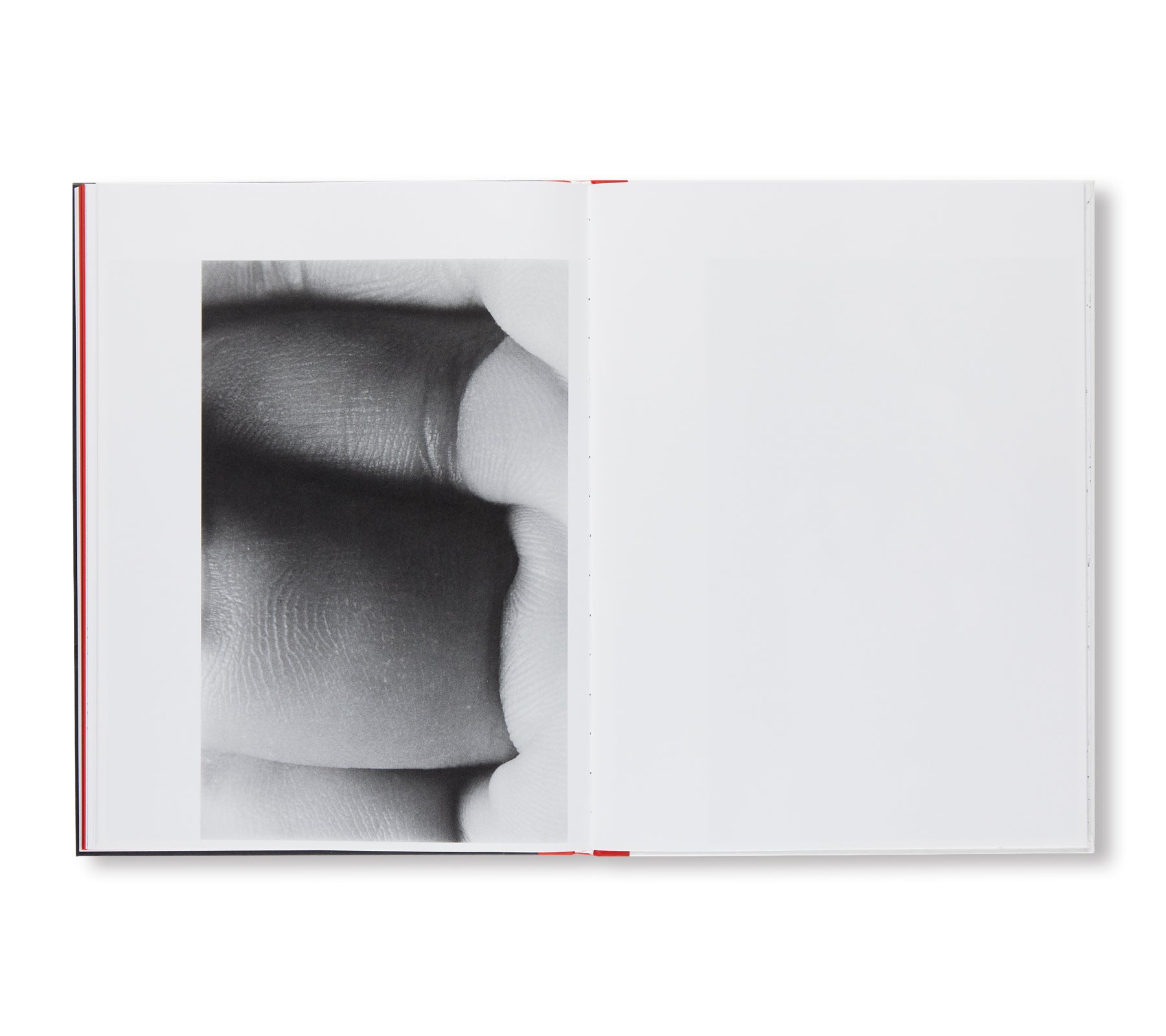 KILL THE PIG by Masahisa Fukase - Rare Japanese Photography Book - Perfect for Art Collectors & Photography Enthusiasts - Great Gift for Book Lovers