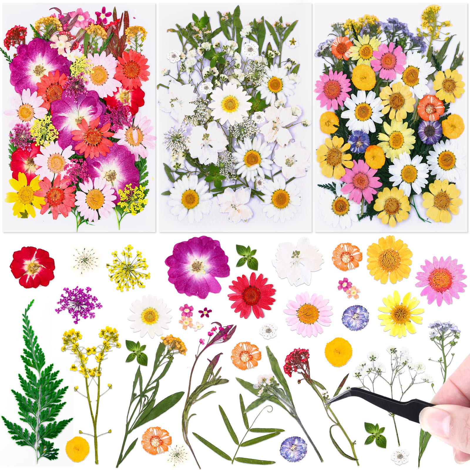 120 PCS Natural Dried Flowers & Pressed Leaves Herbs Kit for Resin Molds - DIY Craft Supplies with Tweezers for Jewelry Making, Candle Decor, Scrapbooking, Nail Art & Silicone Molds - Perfect for Home Decor, Wedding Centerpieces & Gift Packaging