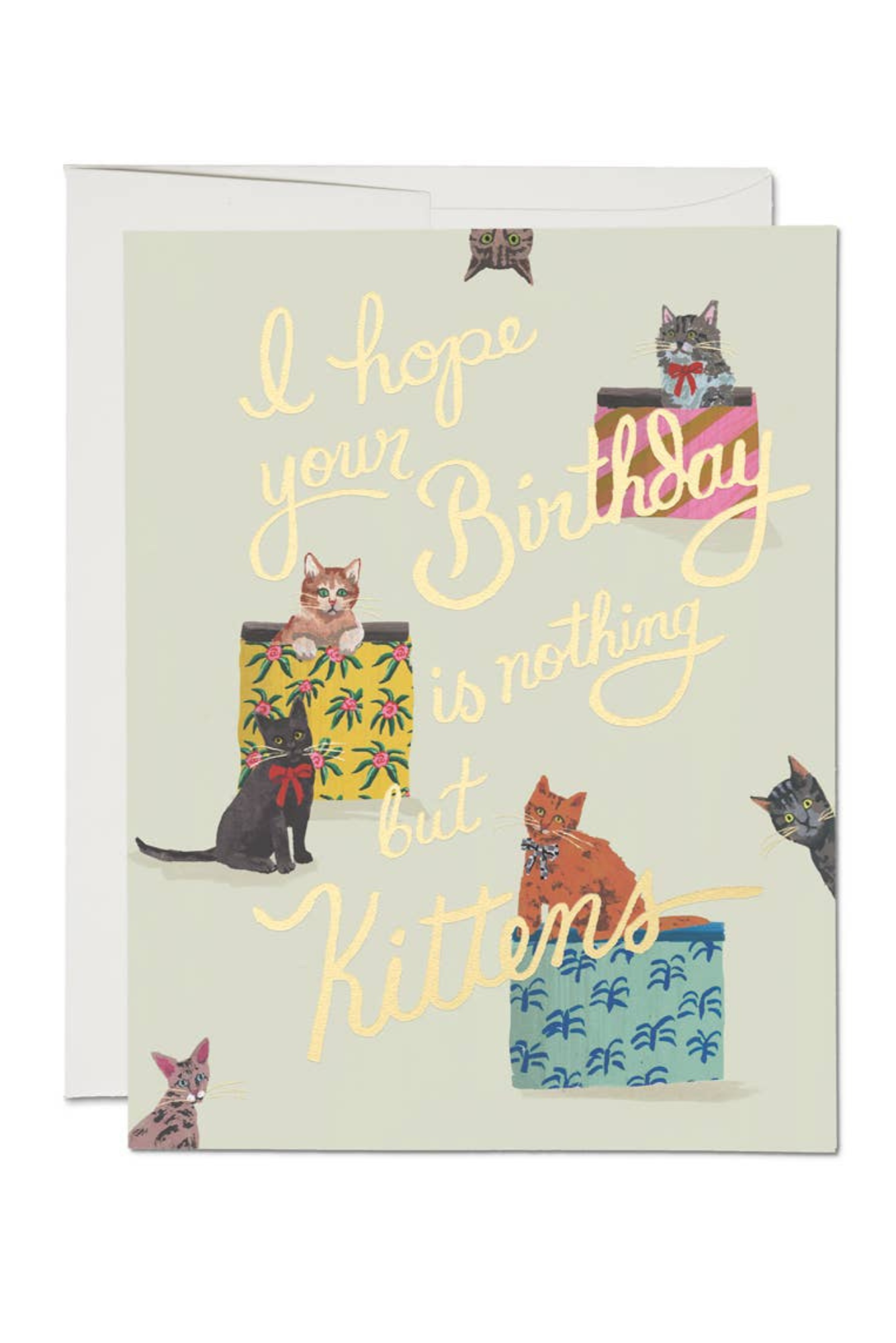 Funny Nothing But Kittens Birthday Card - Cute Cat Lover Greeting Card for Birthdays, Parties & Special Occasions