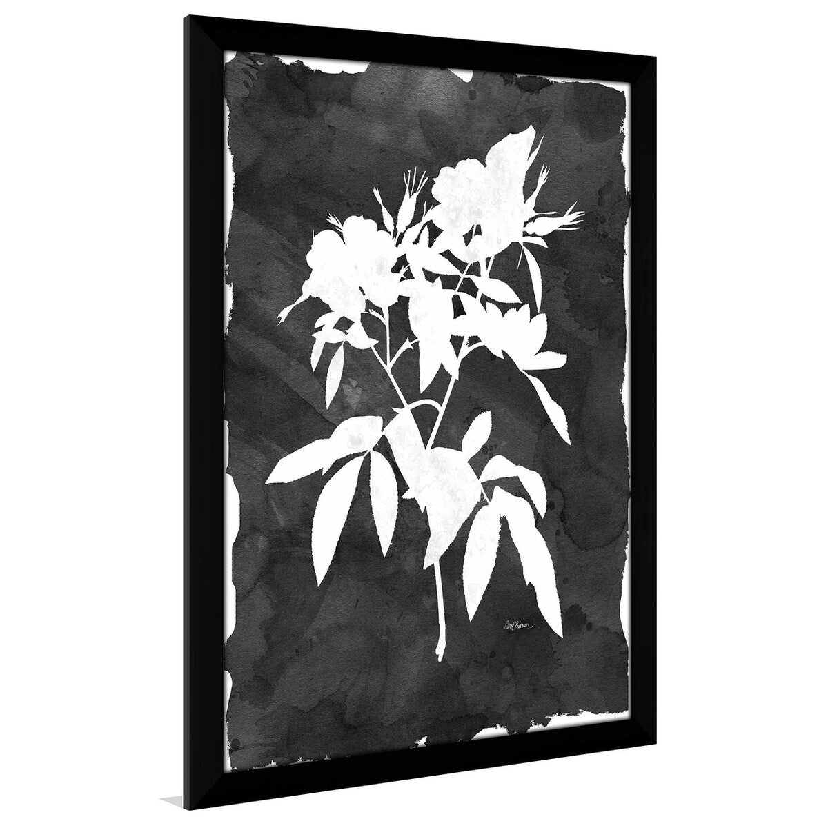 Black Botanical I by Carol Robinson - Premium Acrylic Wall Art Print - Modern Home & Office Decor for Living Room, Bedroom, or Gallery Display