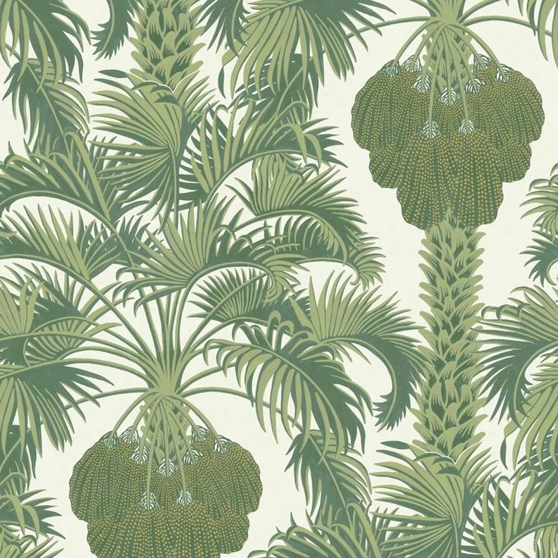 Cole and Son Hollywood Palm Leaf Green Wallpaper - Premium Botanical Design for Living Room, Bedroom & Home Decor