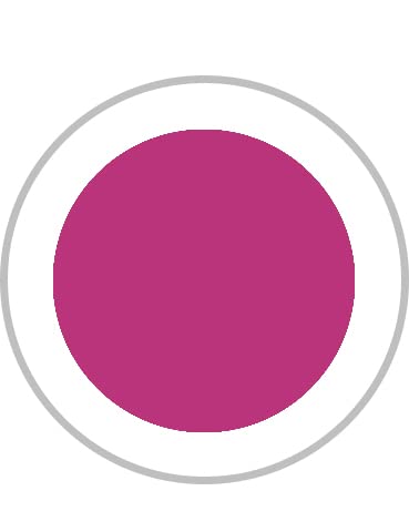 Hibiscus Purple