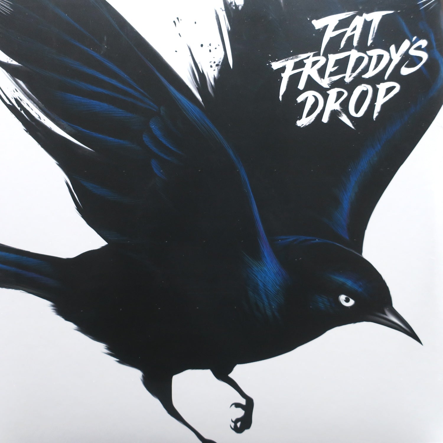 FAT FREDDY'S DROP 'Blackbird' Vinyl 2LP Record | Limited Edition Double LP | Perfect for Vinyl Collectors & Music Enthusiasts | Great for Home Listening & Gifts