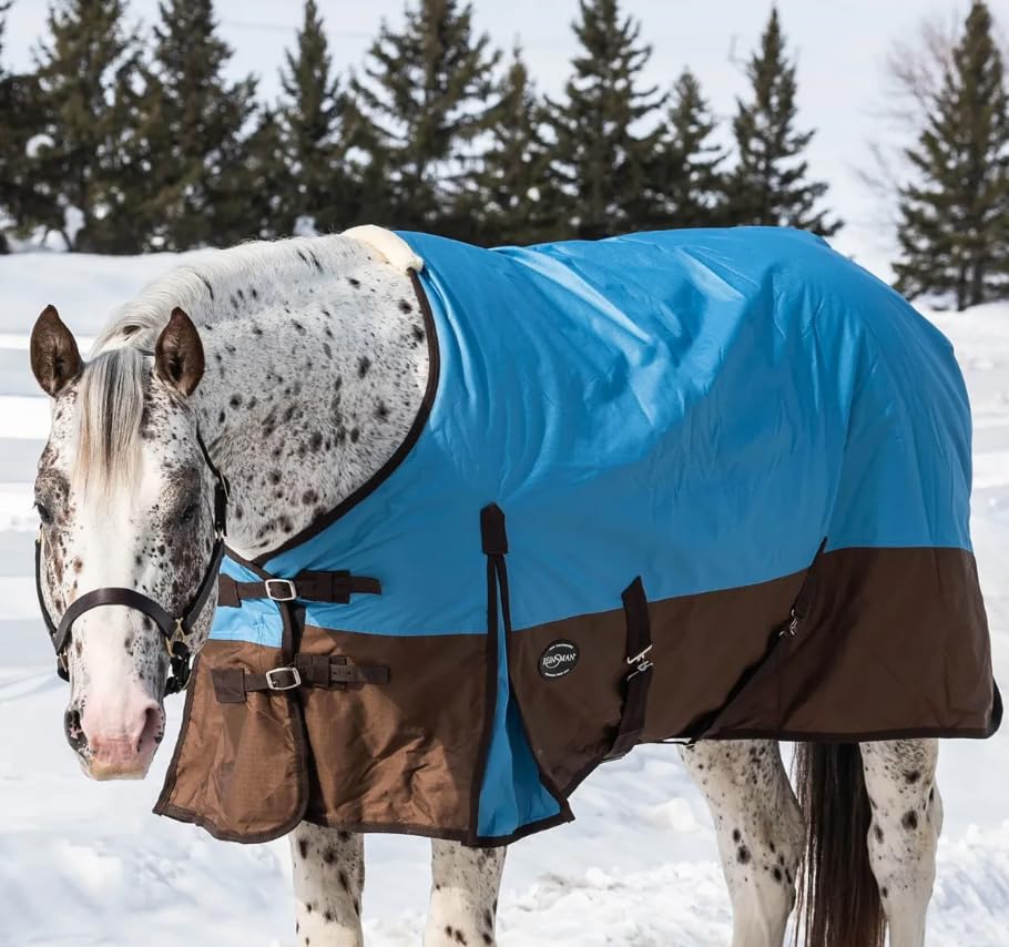 Reinsman Circle Y Classic Turnout Blanket - 300g 600D Waterproof Horse Blanket for All Weather Protection (75