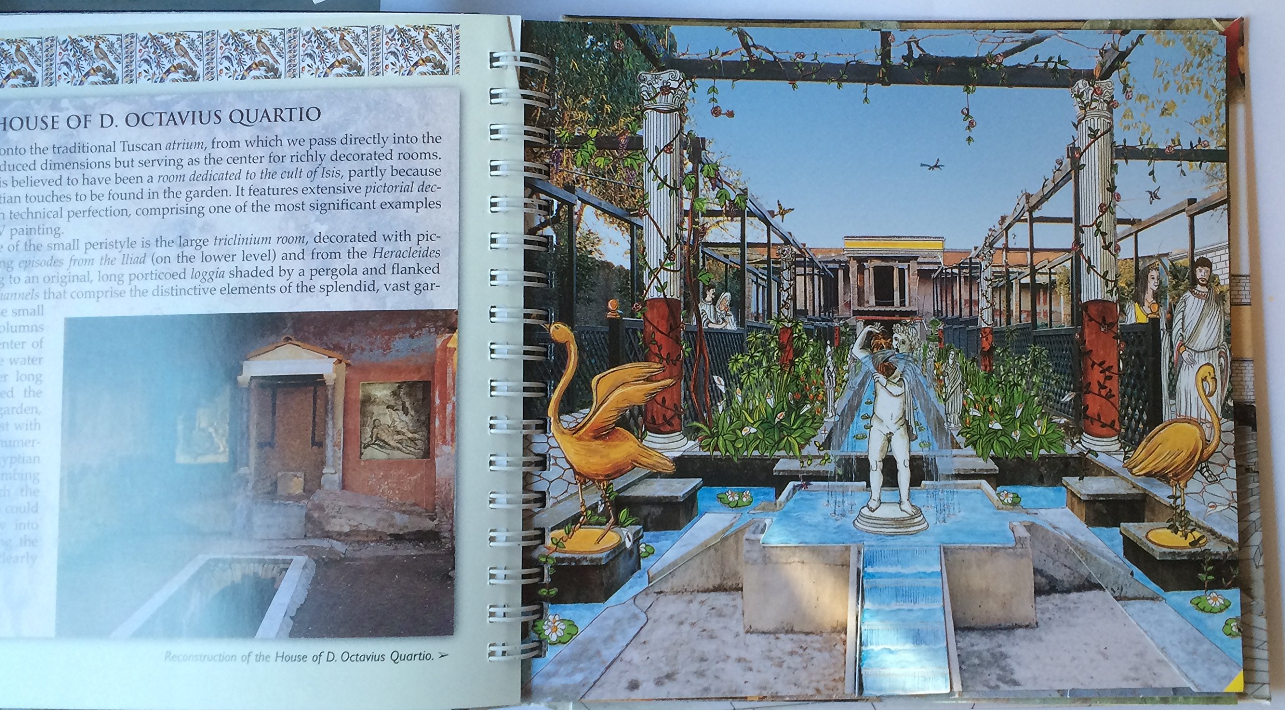 Pompeii Reconstructed Book with DVD - Ancient Roman History & Archaeology Guide for Students and History Enthusiasts | Perfect for Classroom Learning, Research Projects & Historical Study