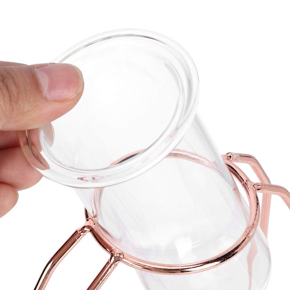 Valentine's Day Hydroponic Glass Flower Vase - Elegant Rose Gold Planter for Home, Wedding & Office Decor | Perfect for Indoor Plants, Table Centerpieces and Gift Giving