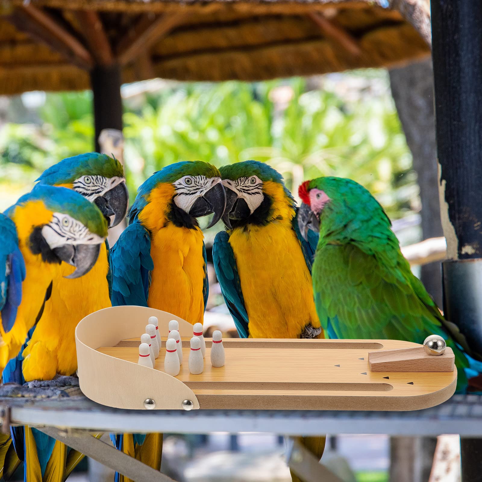 1 Set Wooden Parrot Bowling Toy - Interactive Chew Training & Educational Plaything for Parrots - Perfect for Bird Entertainment, Training & Mental Stimulation - Great for Cage Playtime & Bonding Activities