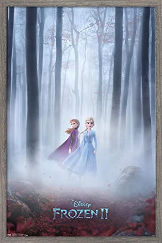 Barnwood Framed Version