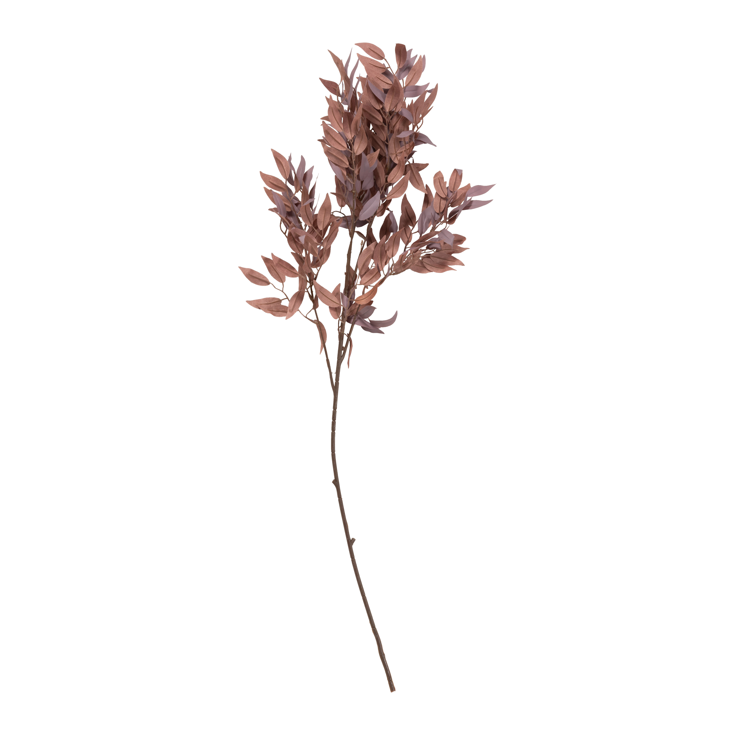 Salix Stem 126982028000 - Premium Willow Stems for Floral Arrangements, DIY Crafts, and Home Decor | Perfect for Wedding Bouquets, Centerpieces, and Seasonal Displays
