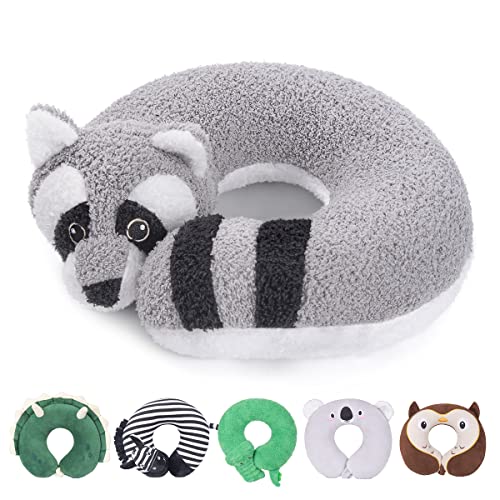 Raccoon