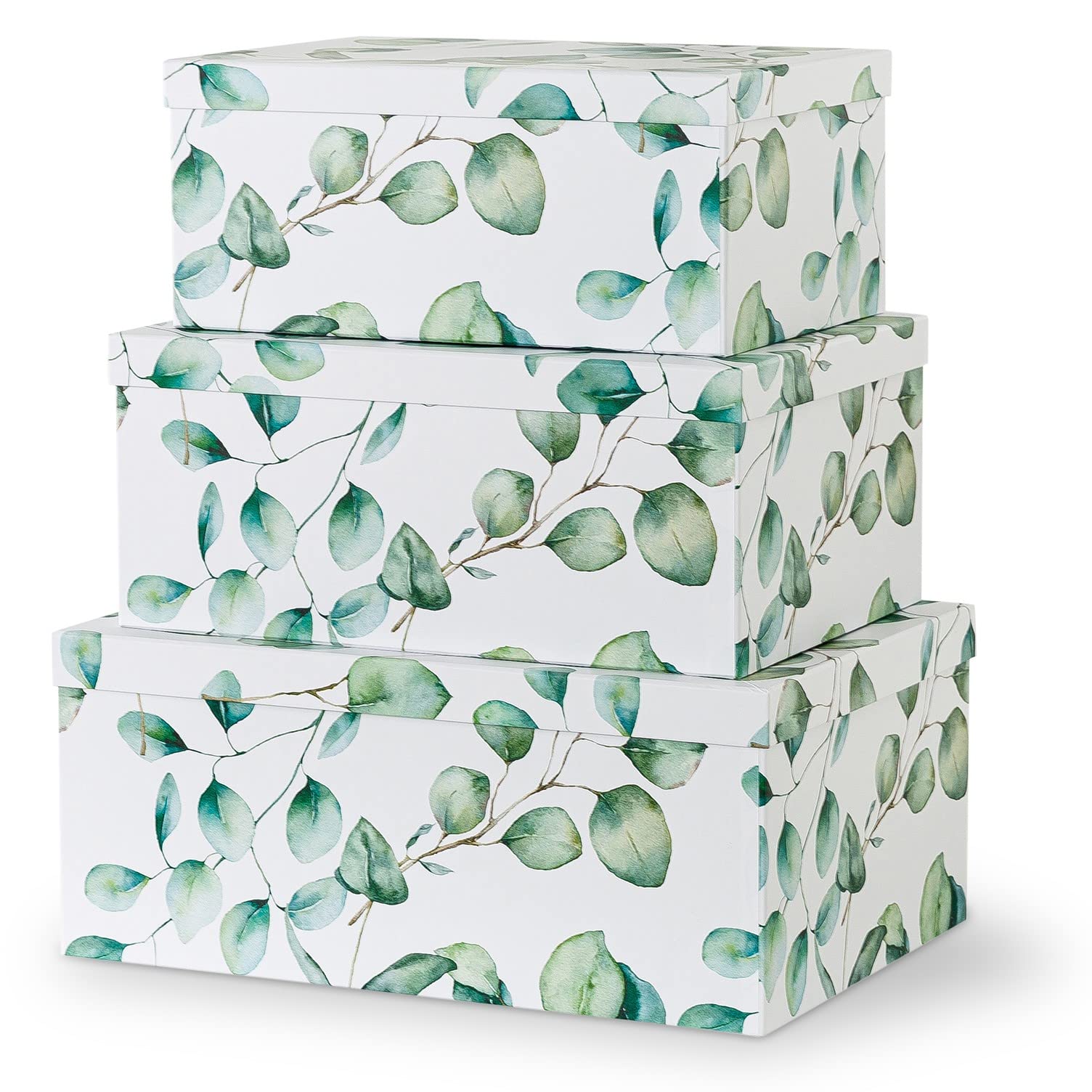 Decorative Cardboard Storage Boxes with Lids - Set of 3 Large Keepsake Organizers for Home Decor, Photos, Memories & Gifts | Floral Nesting Containers with Eucalyptus Leaves Design | Perfect for Bedroom, Living Room & Office Organization