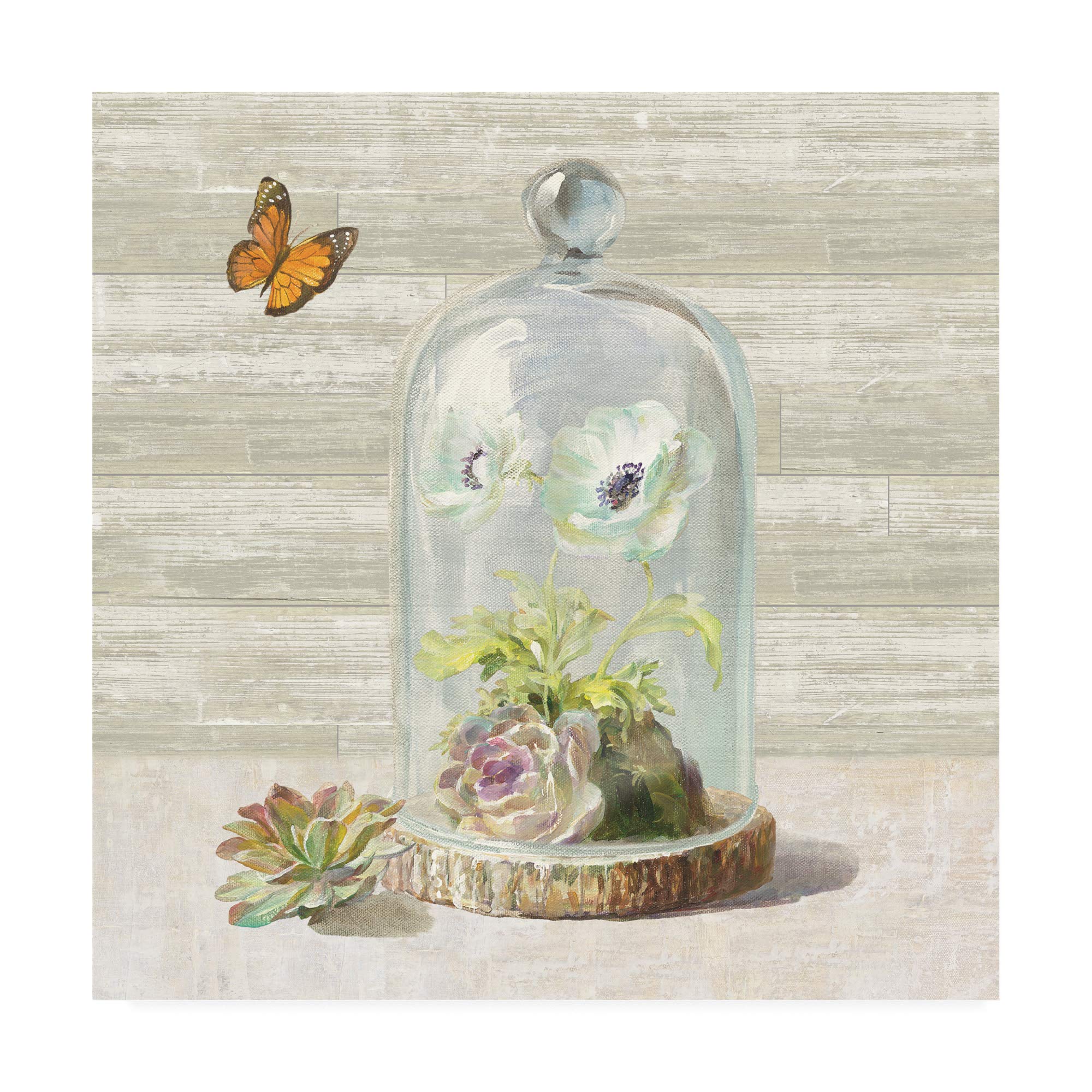 Danhui NAI Succulent Garden I Fine Art Print - 18x18 Inches Wall Decor for Living Room, Bedroom & Office | Botanical Painting for Home & Office Decor