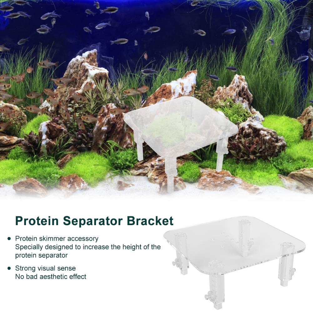 Jazar Acrylic Protein Skimmer Stand Bracket - Small Heightening Accessory for Protein Separator | Perfect for Saltwater Aquarium & Reef Tank Setup