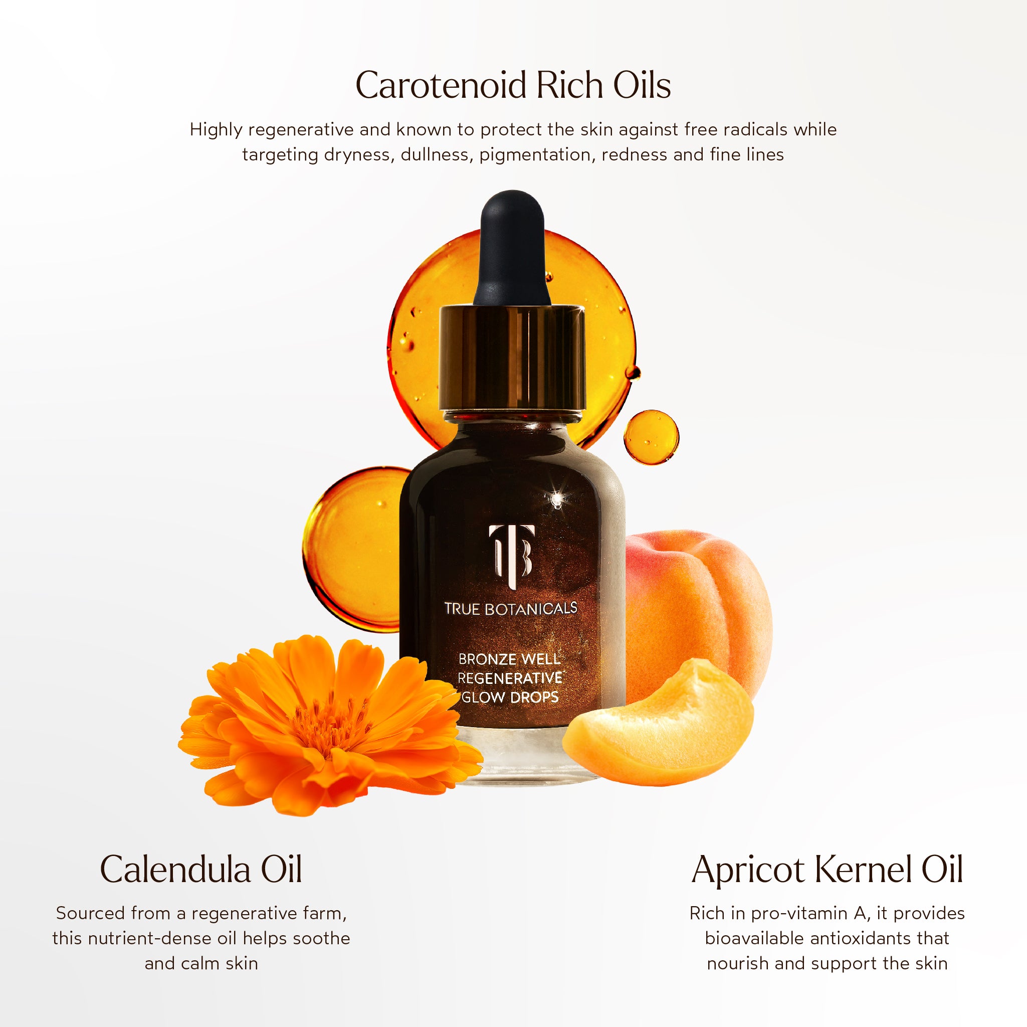 Bronze Well Regenerative Glow Drops - Skin Brightening Serum for Radiant Complexion | Perfect for Daily Skincare & Nighttime Routine
