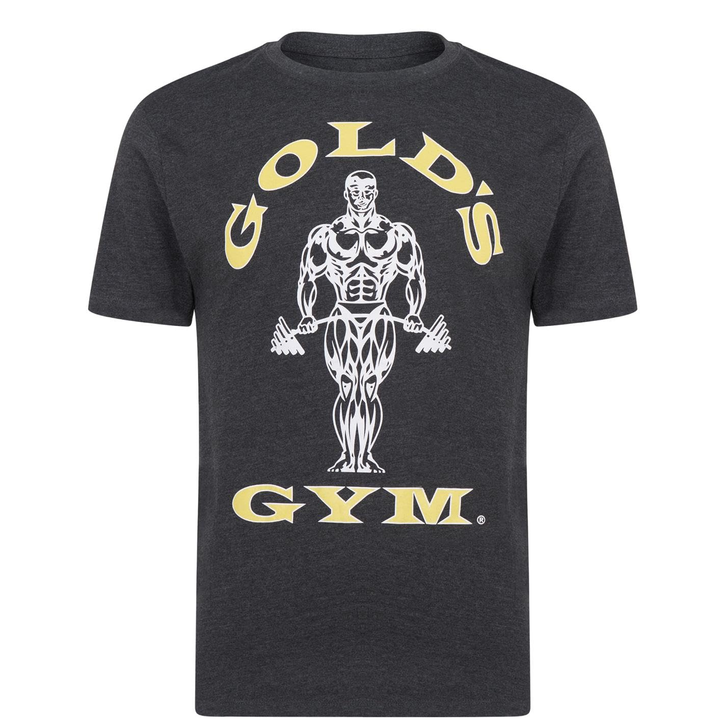 Gold's Gym Men's Workout & Training Apparel - Gym Clothes, Activewear & Fitness Gear for Running, Weightlifting & CrossFit | Comfortable & Durable Workout Shirts, Shorts & Pants