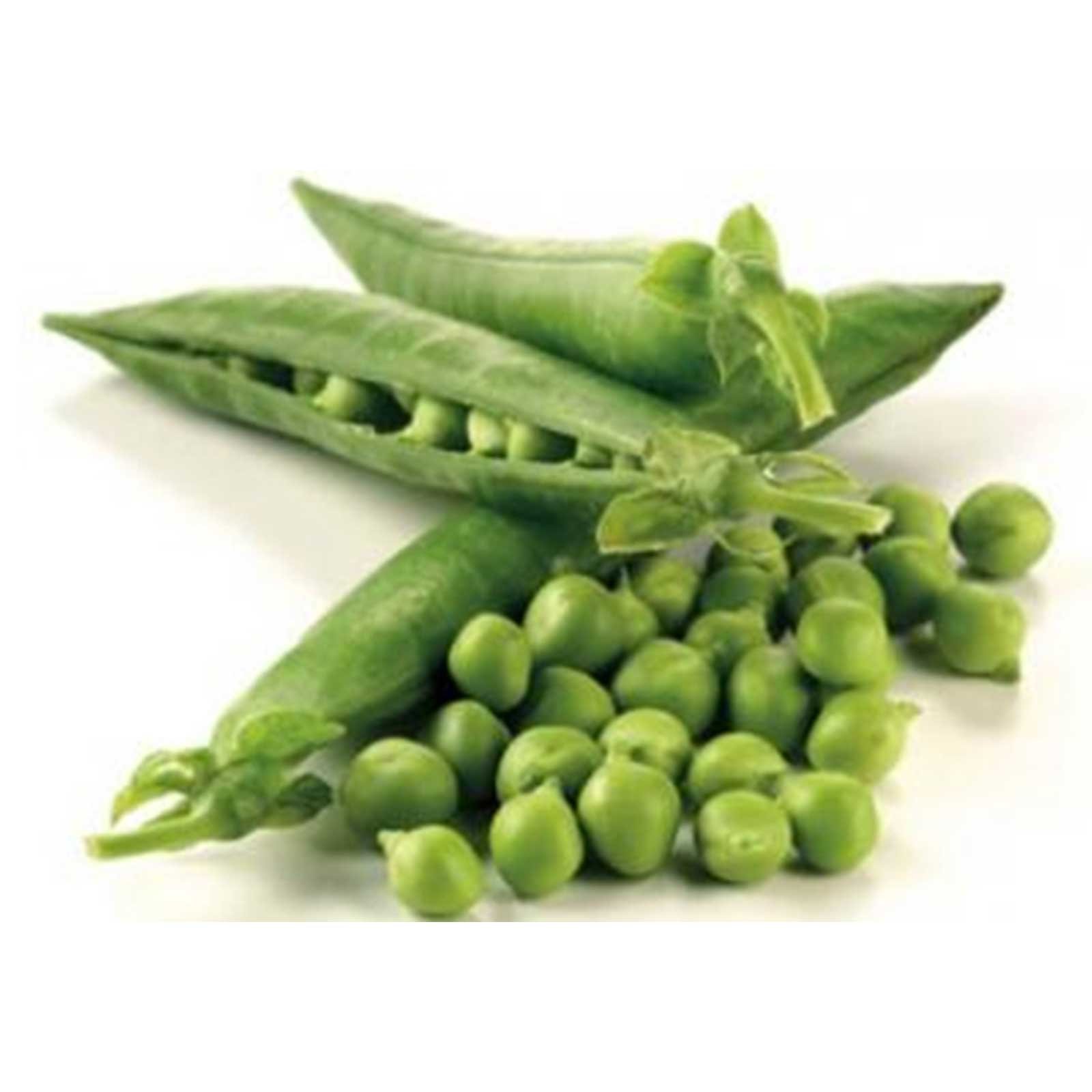 Organic Thomas Laxton Pea Seeds - 25g Packet (~75 Seeds) | Non-GMO Heirloom Variety for Home Gardening, Microgreens & Container Planting | Perfect for Soups, Salads & Healthy Snacks