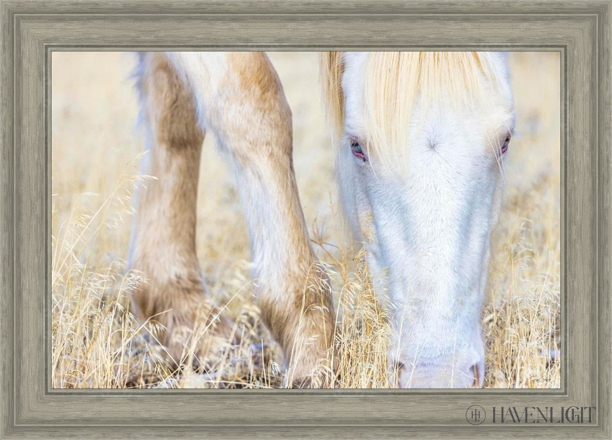 Dry Grass by Greg Sargent - Premium Handcrafted Home Decor for Rustic & Farmhouse Style - Perfect for Wall Art, Shelf Displays & Cozy Living Room Decor