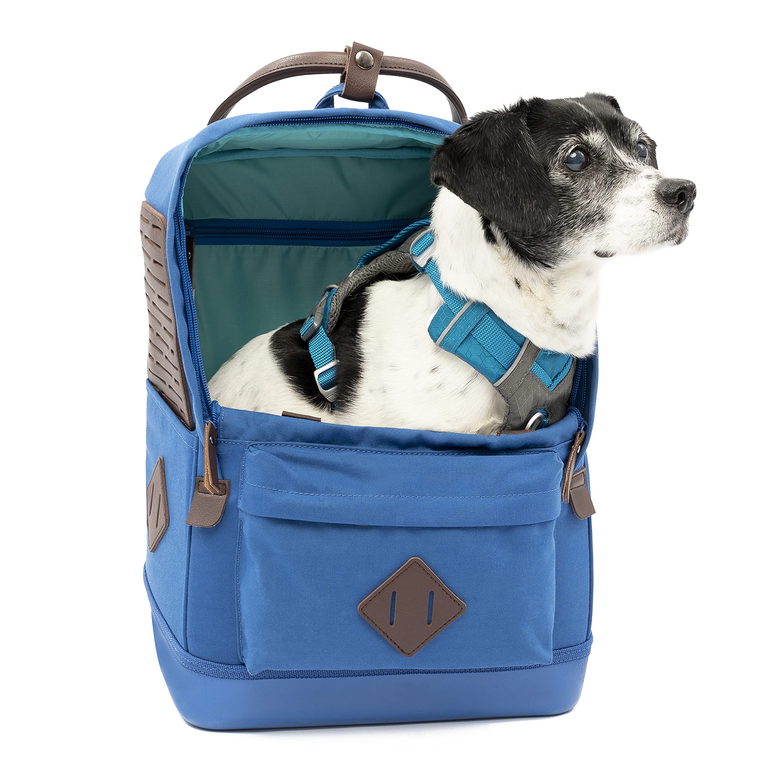**Kurgo Nomad Dog Carrier Backpack - Lightweight Hiking Backpack for Small Dogs Up to 15 lbs, Waterproof Pet Travel Carrier with Safety Tether & Dual Handles - Perfect for Hiking, Camping & Air Travel (Blue)**