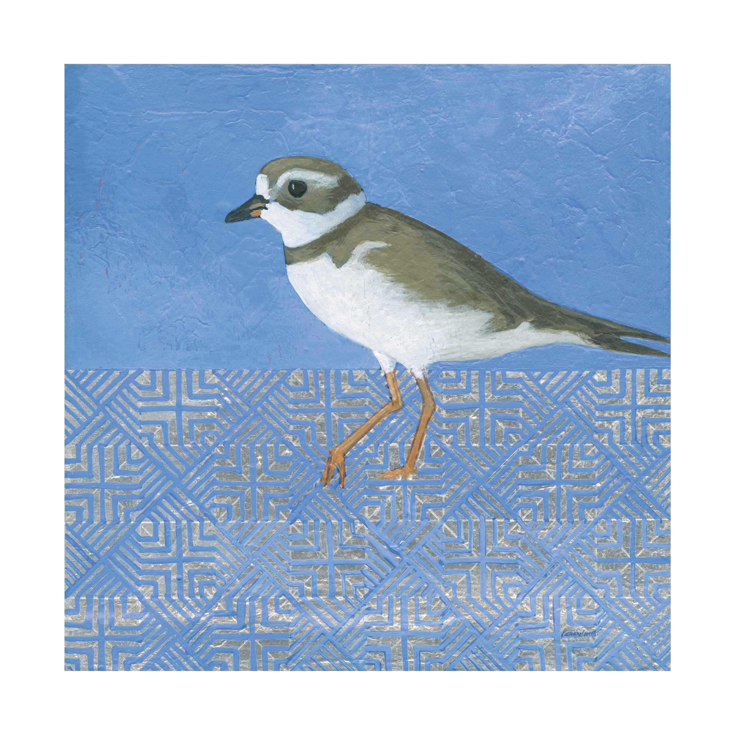 Trademark Fine Art 'Plover' Canvas Wall Art by Kathrine Lovell - Beautiful Coastal Bird Painting for Beach House Decor, Living Room & Bedroom Wall Decor