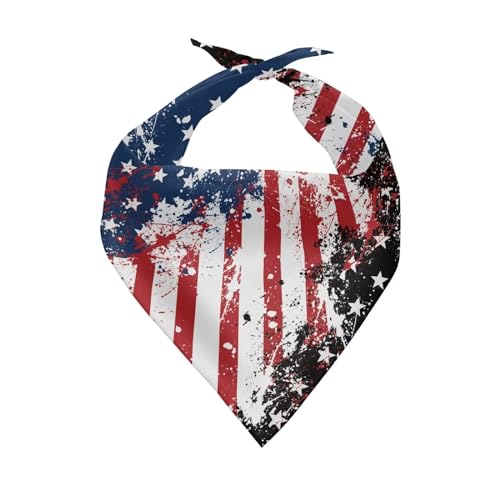 American Flag-1