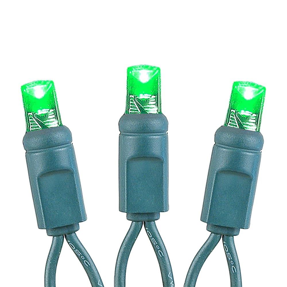 Green LED Christmas Lights - 50 Twinkle Mini Lights, 25ft for Holiday Decor