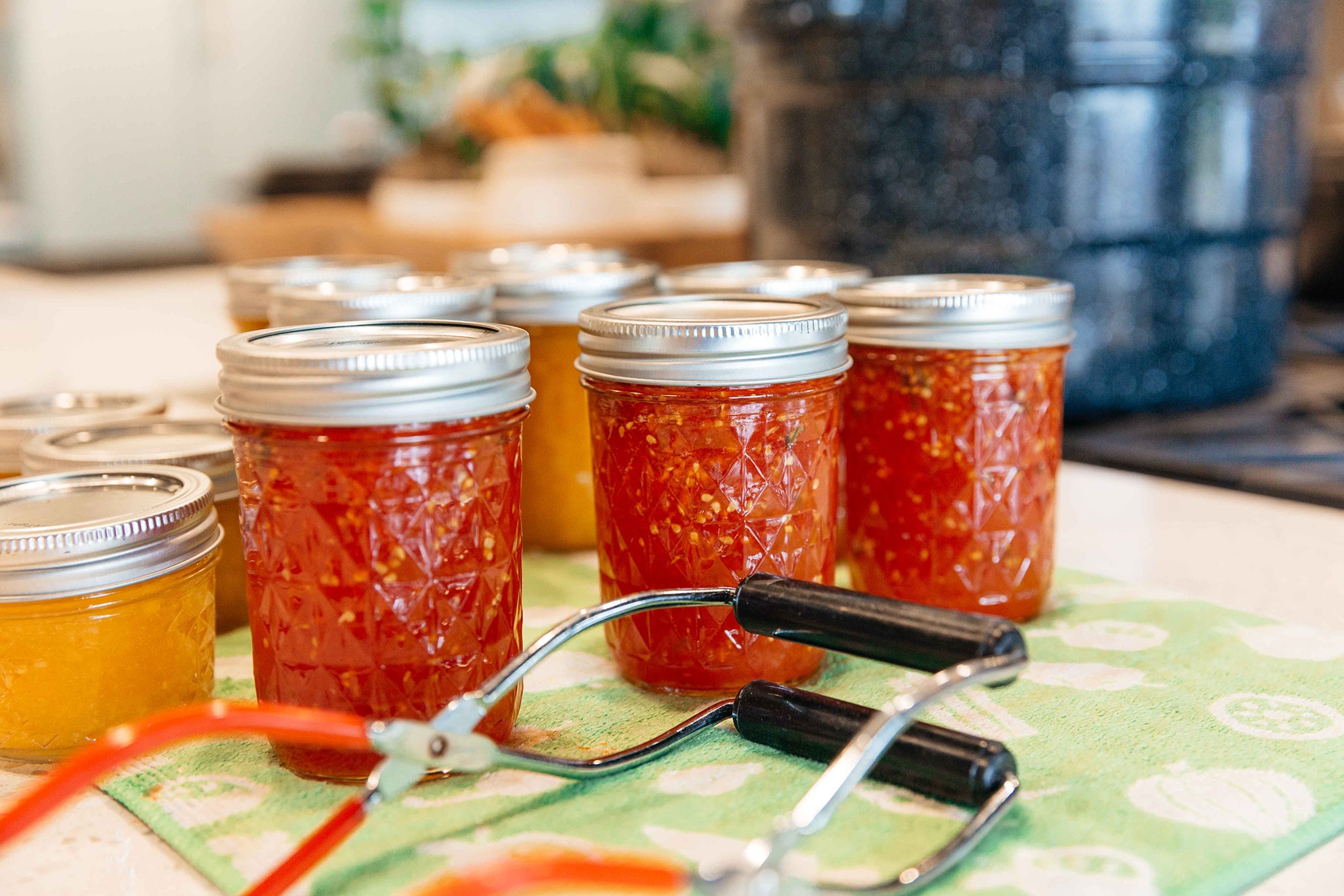 Premium Canning Jars for Homemade Jams & Jellies - Airtight Glass Mason Jars with Lids - Perfect for Preserving Fruits, DIY Gifts & Pantry Storage (12-Pack)